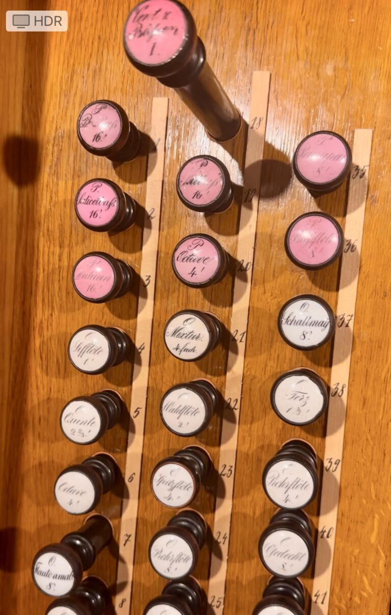 Ladegast Orgel Dom Merseburg