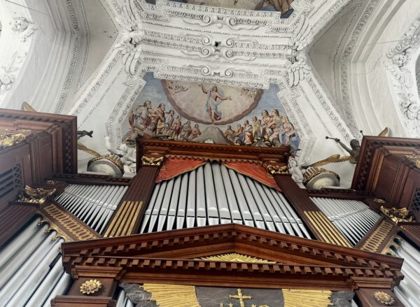 Organ Neuzelle