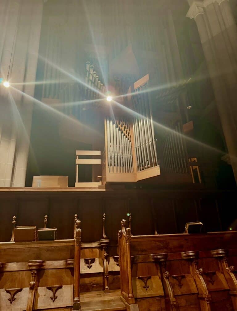 Kloster Marienstatt Orgel Pfeifen